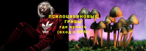 хмурый Нея