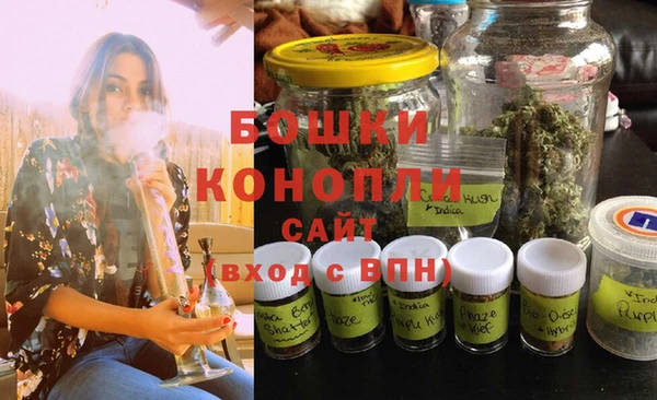 хмурый Нея