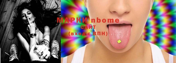 хмурый Нея