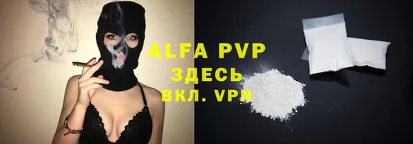 таблы Новозыбков