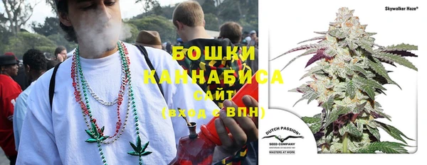 хмурый Нея