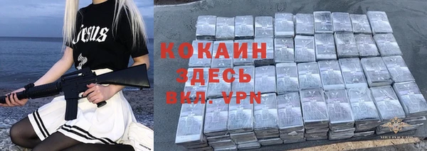 хмурый Нея