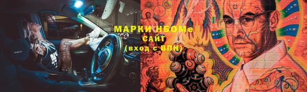 индика Новокубанск
