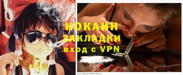 индика Новокубанск