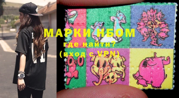индика Новокубанск