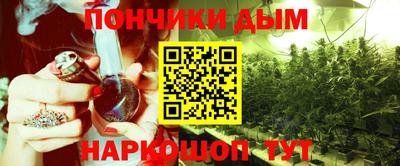 трава Бийск