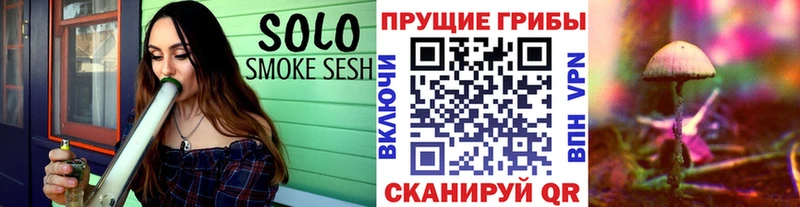 Галлюциногенные грибы Magic Shrooms  купить   Боровичи 