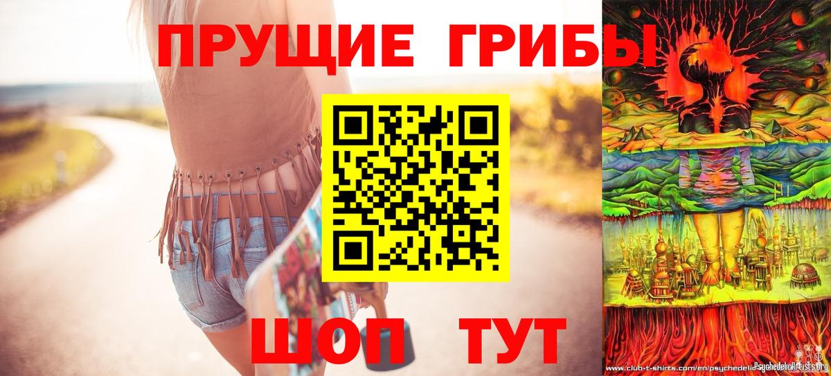 Боровичи  Галлюциногенные грибы Psilocybe  Псилоцибиновые грибы мухоморы  Вход с VPN 